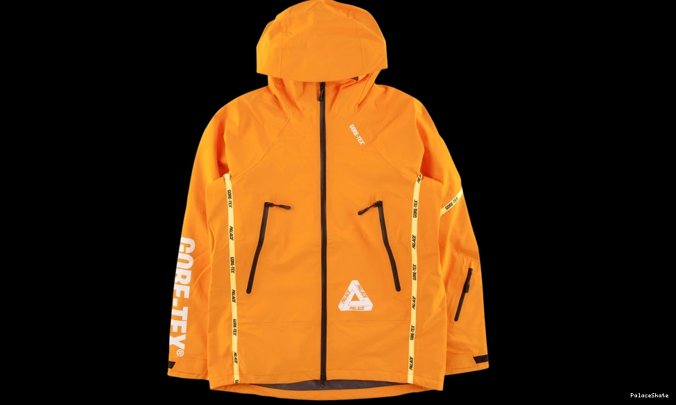 Palace Gore-Tex Palex Jacket 0813